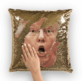 Sparkling Surprise Pillow Cushion PNG