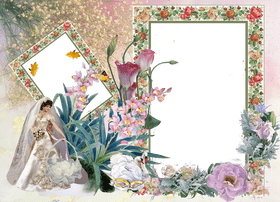 Floral Elegance Photo Frame Design PNG