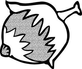 Hazelnut Delight Nature's Crunchy Treasure PNG