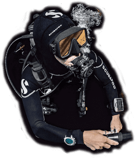 Exploring the Depths Underwater Adventure Awaits PNG