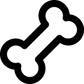 Bone Structures and Their Mysteries PNG