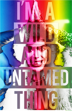 Vibrant Picture of Untamed Spirit PNG