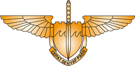 Air Force Emblem of Strength and Valor PNG