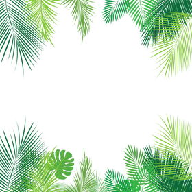 Vibrant Tropical Leaf Border PNG
