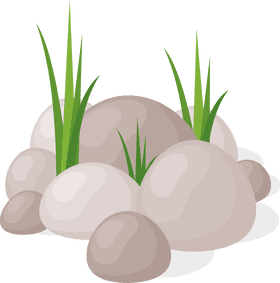 Smooth Stones Surrounded by Lush Green Grass PNG