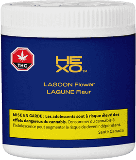 Lagoon Water Flower Essence PNG