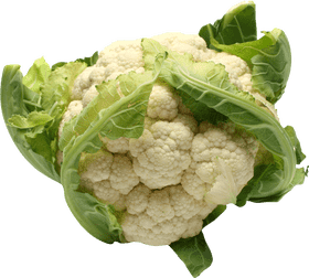 Fresh Harvest from the Vegetable Garden PNG