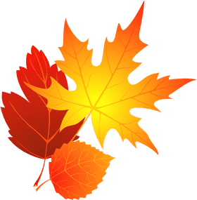 Autumn's Vibrant Leaf Symphony PNG