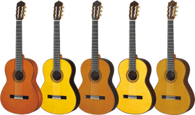Five Shades of Acoustic Guitar Beauty PNG