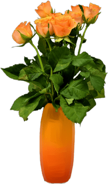 Radiant Orange Rose Flower Arrangement PNG