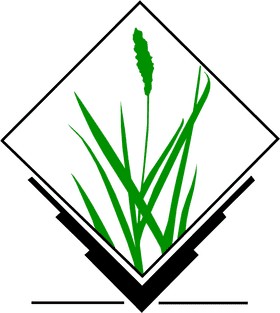 Lush Green Grass with Tall Blades PNG