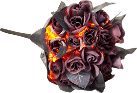 Crimson Blooms The Essence of Blood PNG