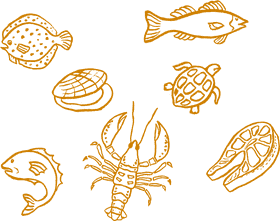 Chalk Illustrations of Underwater Creatures PNG