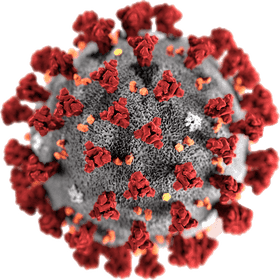 Coronavirus Structure and Its Spiked Proteins PNG