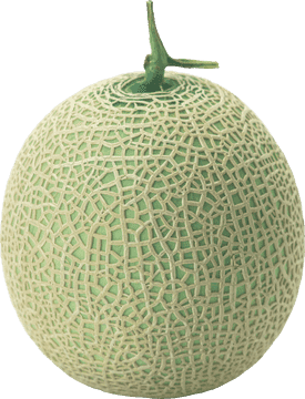 Exquisite Melon Slice with Intricate Textures PNG