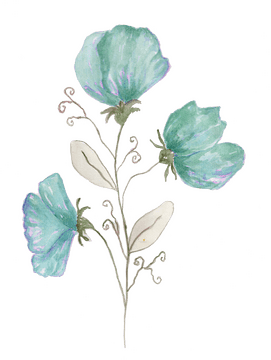 Bokeh Blossoms A Dance of Soft Light PNG