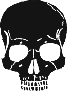 Bone Structure of the Human Skull PNG