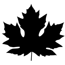 Elegant Silhouette of a Leaf PNG