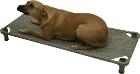Comfortable Pet Stuff for Relaxed Pups PNG