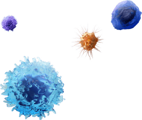 Vibrant Molecular Structures in Motion PNG