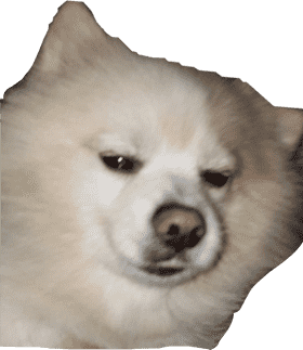 Fluffy Dog with Sleepy Eyes PNG