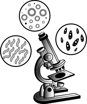 Microscopic Virus Exploration and Analysis PNG