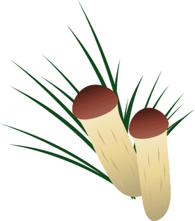 Whimsical Forest Mushroom Duo PNG