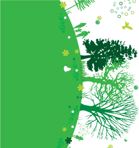 Whispers of the Enchanted Forest PNG