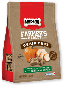 Bone Treats with Turkey and Pumpkin Delight PNG