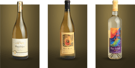 Elegant Variety of Bottles Tropical Essence Collection PNG