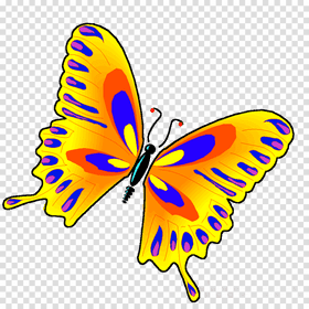 Vibrant Insect The Colorful Butterfly Fantasy PNG