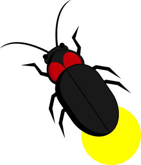 Illuminating Insect of the Night Sky PNG