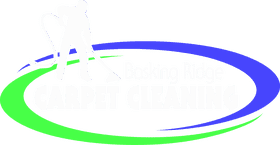 Ultimate Clean Tool for Carpet Care PNG