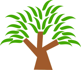 Lush Green Canopy Tree of Life PNG