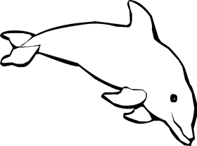 Dynamic Spinner of Infinite Whirls PNG