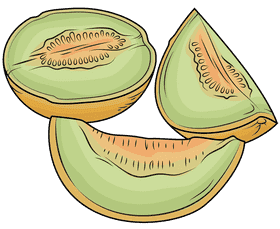 Fresh and Juicy Melon Slice Delight PNG