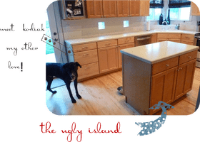 The Ugly Kitchen Island A Love Story in Design PNG