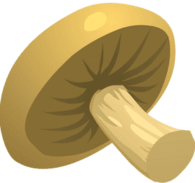 Golden Mushroom Delight PNG