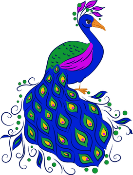 Vibrant Peacock Elegance in Full Display PNG