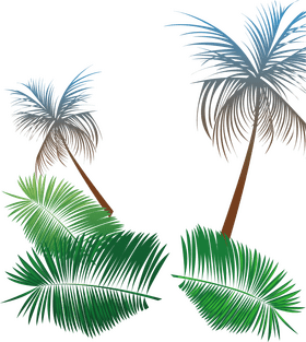 Tropical Oasis Serenity PNG