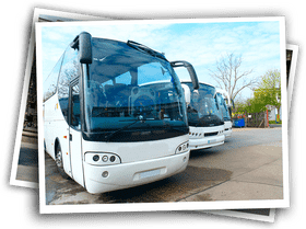 Modern School Bus Fleet in Bright Sunshine PNG