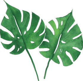 Radiant Green Leaf Elegance PNG