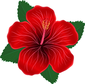 Tropical Cinema A Floral Escape PNG