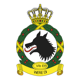 Air Force Shadow Wolf Emblem PNG