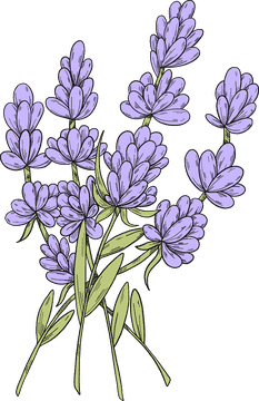 Serenity in a Lavender Field Bouquet PNG