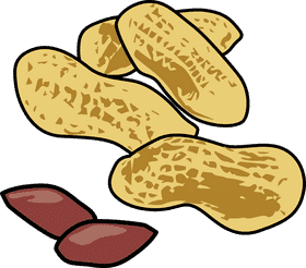 Nutty Delight A Crunchy Snack Experience PNG