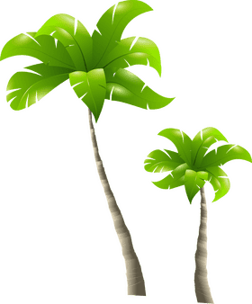 Tropical Paradise The Majestic Palm Tree Duo PNG