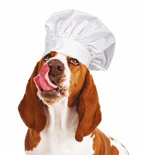 Chef Dog Ready to Cook Delicious Treats PNG