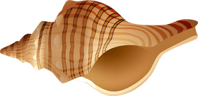 Rap Rhythms from the Shells of Sound PNG