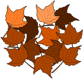 Autumn's Golden Leaf Collection PNG